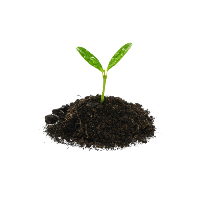 Rentabilidad motivo - Bonobo Energy